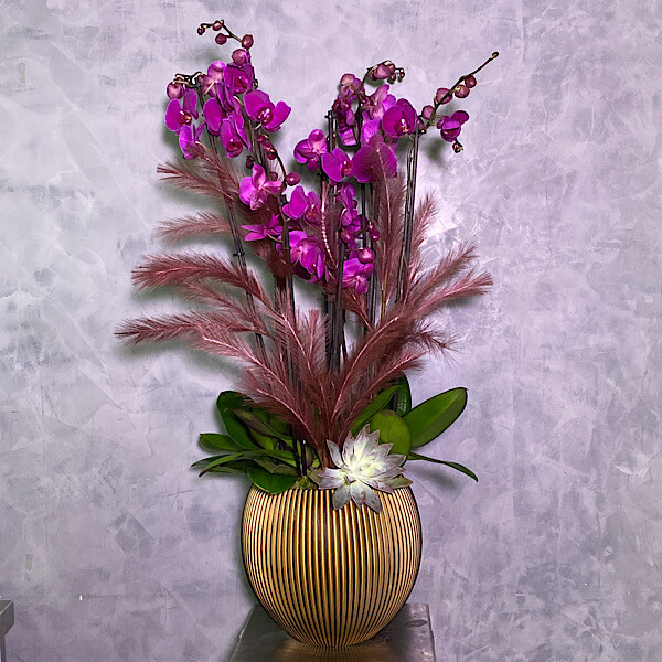 Purple Orchid With Feathers