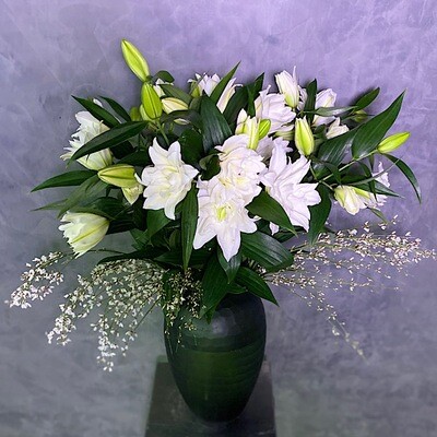 Double lily white