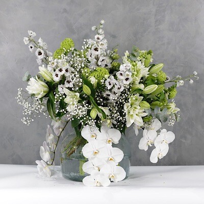 White orchids vase