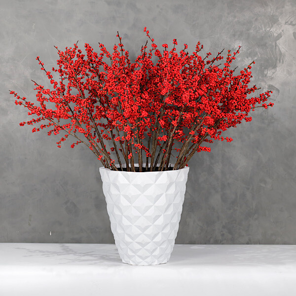 Red ilex vase