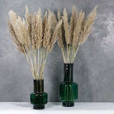 Pampas vase duo