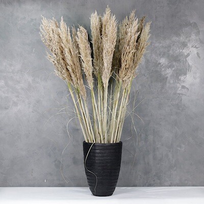 Pampas Grass vase