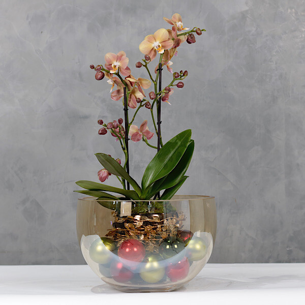 Peach orchids bowl