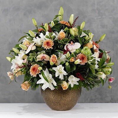 Flowers and orchids specials