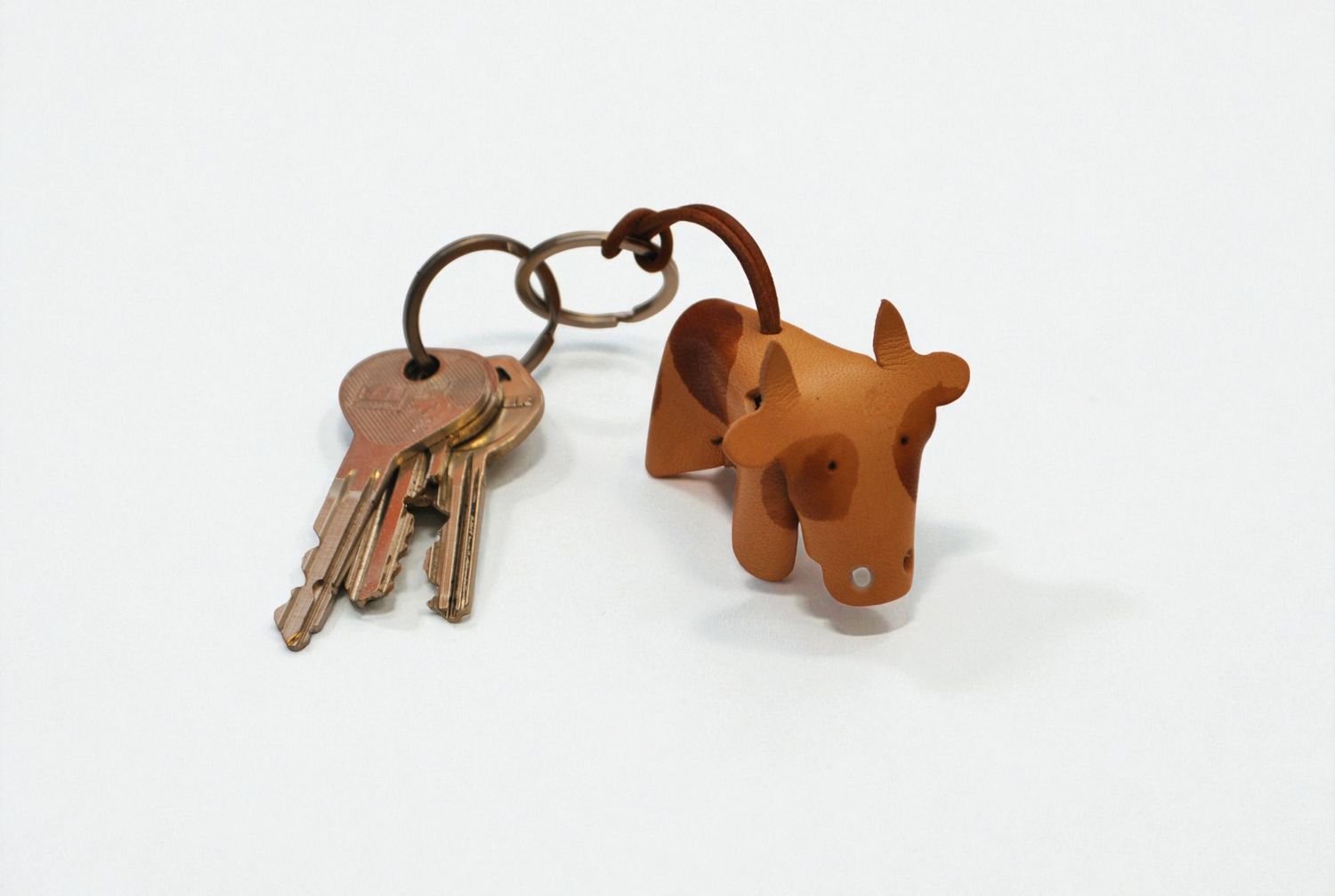 MOO. the cow MOO. the cow