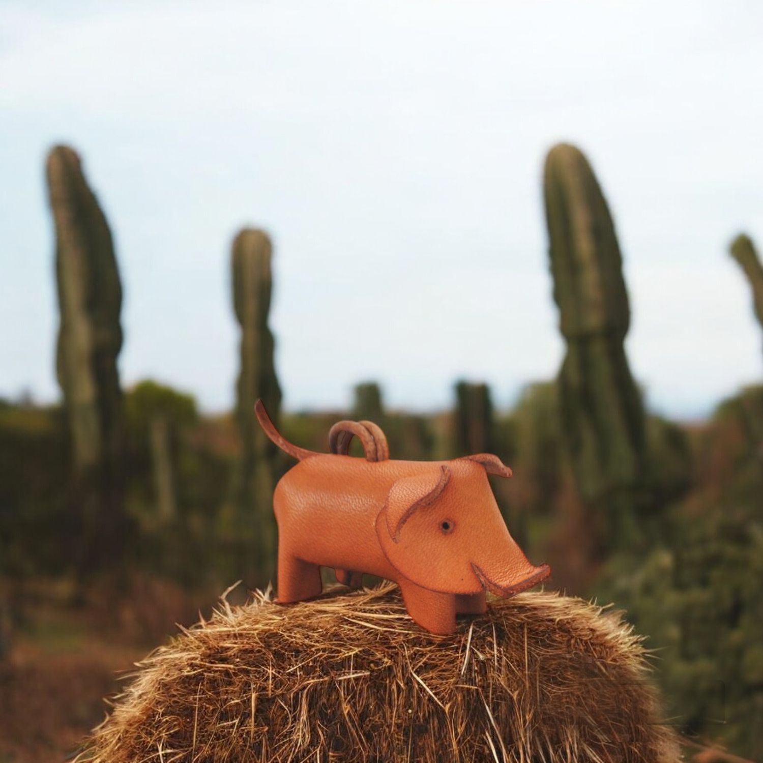 PUKO the pig