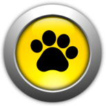 Pet Groomers