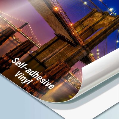 Adhesive Vinyl