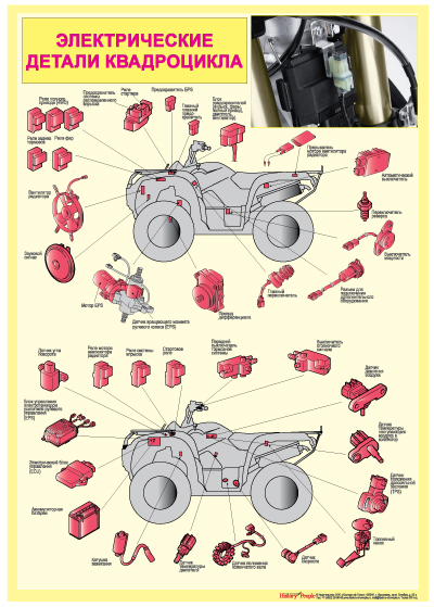 Из чего состоит квадроцикл схема