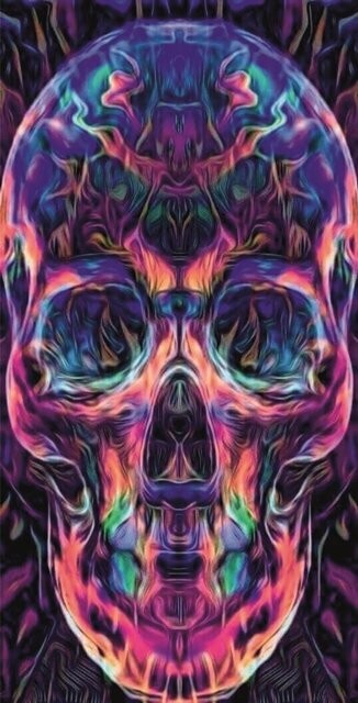 BRAGA LARGA CALAVERA 2