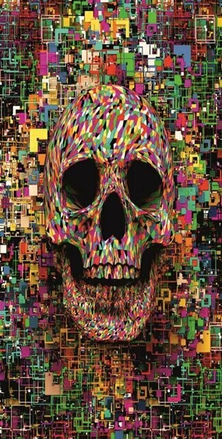 BRAGA LARGA CALAVERA 7