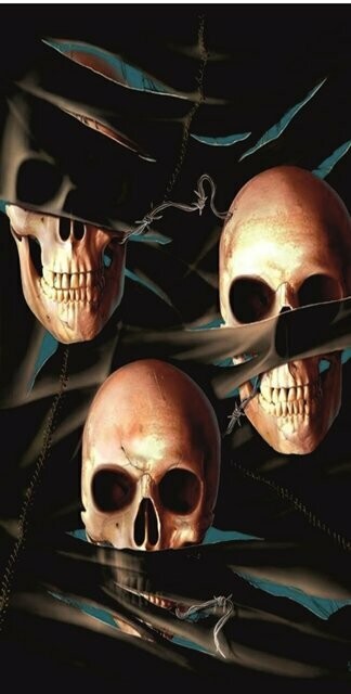 BRAGA LARGA CALAVERA 6