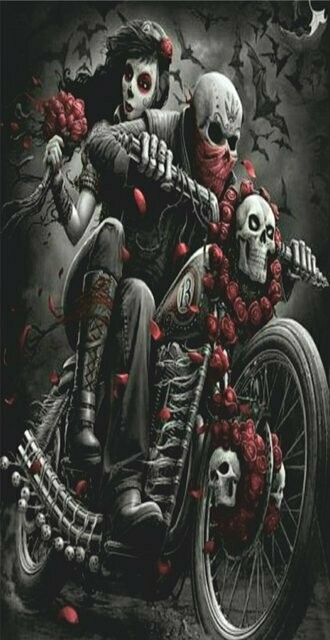BRAGA LARGA CALAVERA 12
