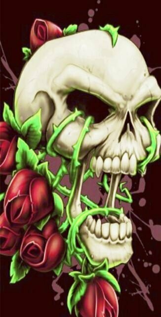 BRAGA LARGA CALAVERA CON ROSAS