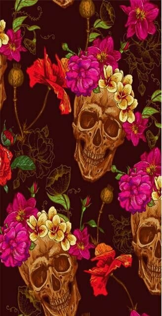 BRAGA LARGA CALAVERAS 1