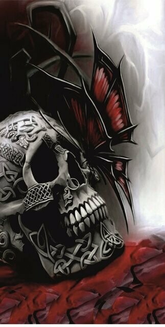 BRAGA LARGA CALAVERA 3