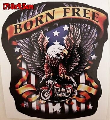 Pegatina 7 Born Free Aguila