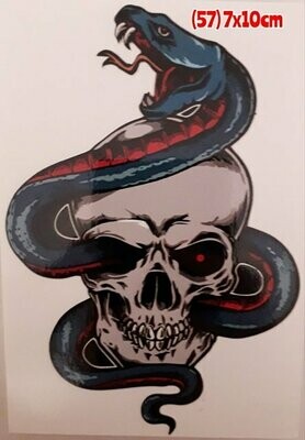 Pegatina 57 Calavera 29