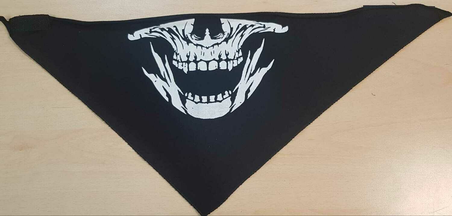 PAÑUELO 2