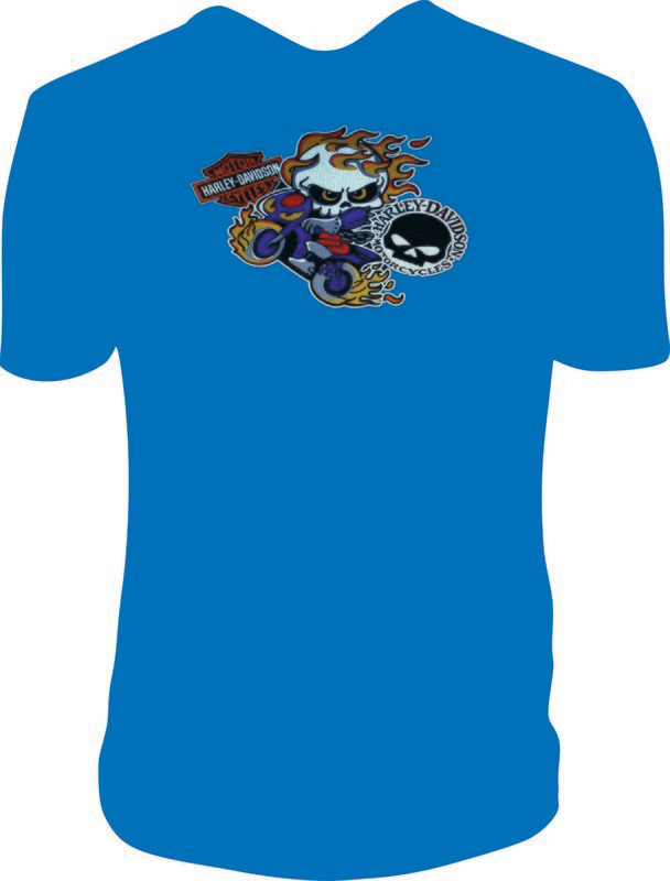 Camiseta Niño Llamas