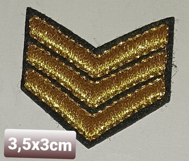 PARCHE BOLSILLO GALONES DORADO