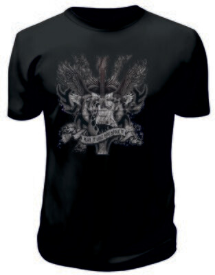 Camiseta Play It Like You Stole It