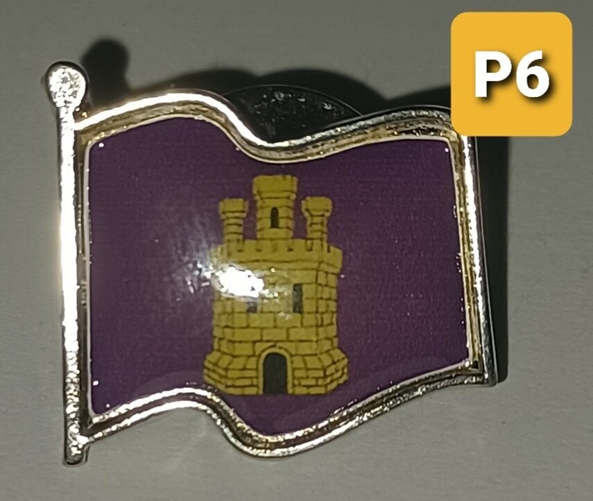 Pin Castillo