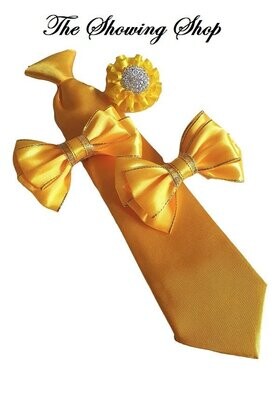 YELLOW SHOW BOWS, TIE AND BUTTONHOLE SET