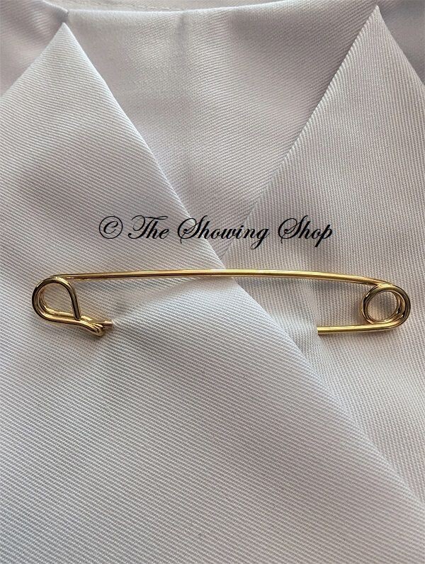 GOLD HUNTING STOCK PIN