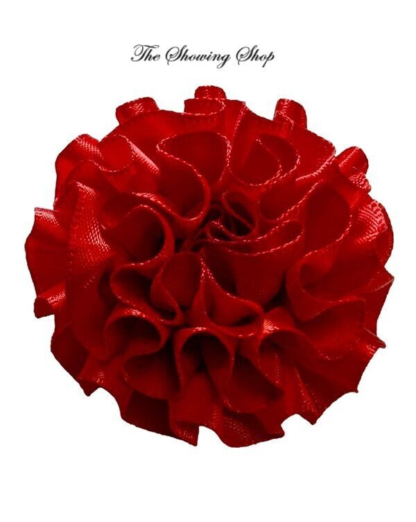 SHOWING BUTTONHOLE- RED