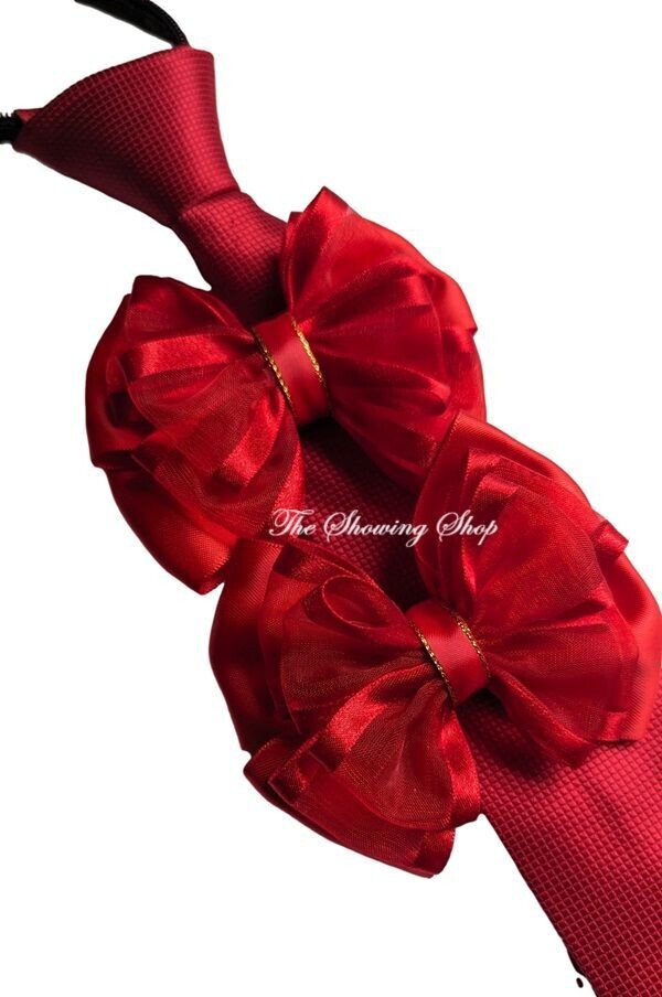 CHILDS PREMIUM RED SHOWING BOWS AND TIE SET
