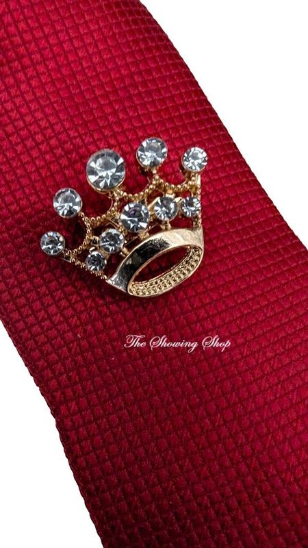 GOLD OR SILVER SHOWING TIE PIN