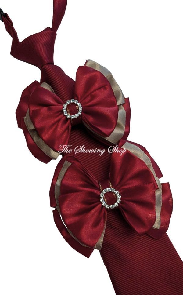 CHILDS WINE & GOLD SHOW BOWS AND TIE SET