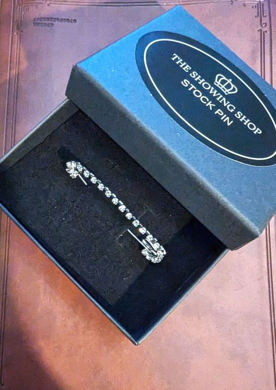 SILVER  & DIAMANTE STOCK PIN