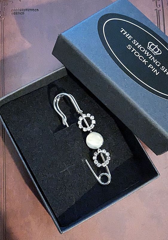 SILVER  & DIAMANTE STOCK PIN
