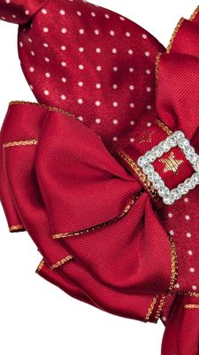 BOWS AND HAIR ACCESSORIES