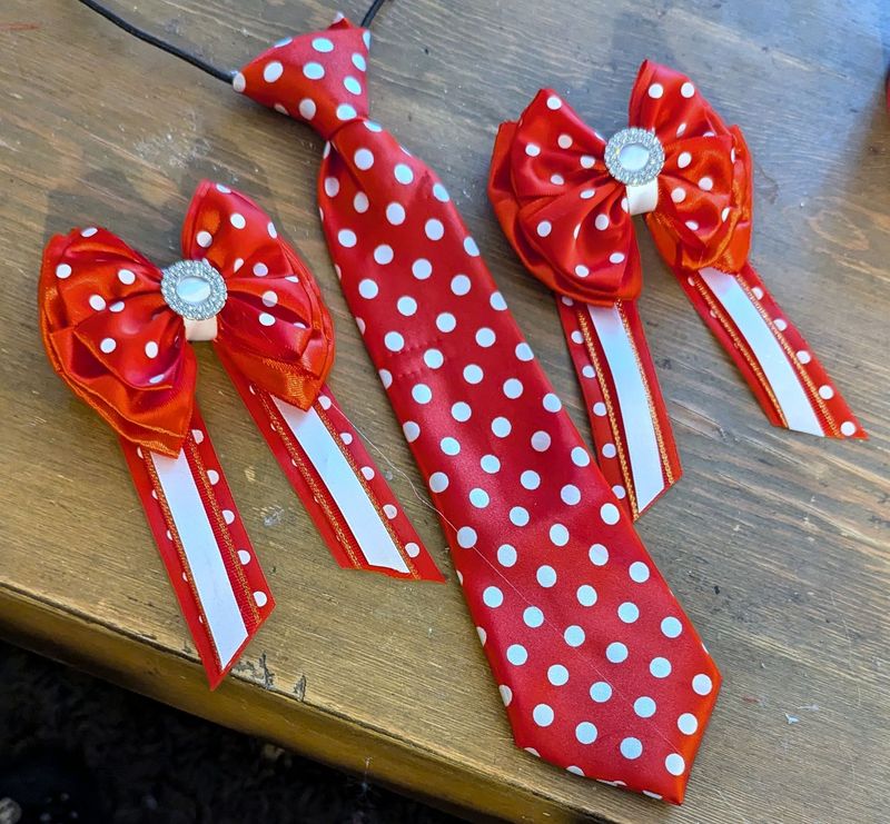 CHILDS RED & WHITE SHOW BOWS AND  TIE SET
