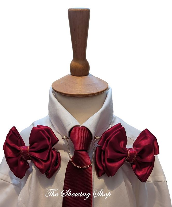 CHILDS PREMIUM WINE RED SHOW BOWS AND TIE SET CHILDS PREMIUM WINE RED SHOW BOWS AND TIE SET