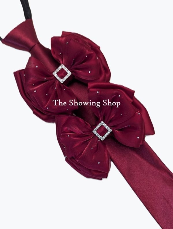 WINE & SILVER SHOW BOWS & ZIP TIE SET