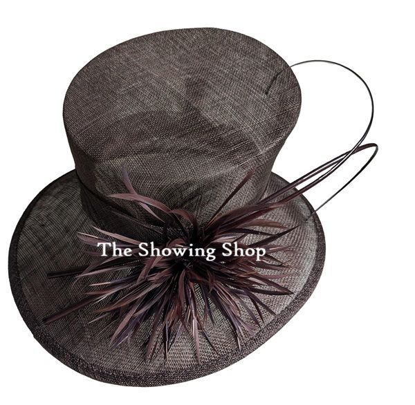 BROWN SINAMAY AND FEATHER LEADERS HAT