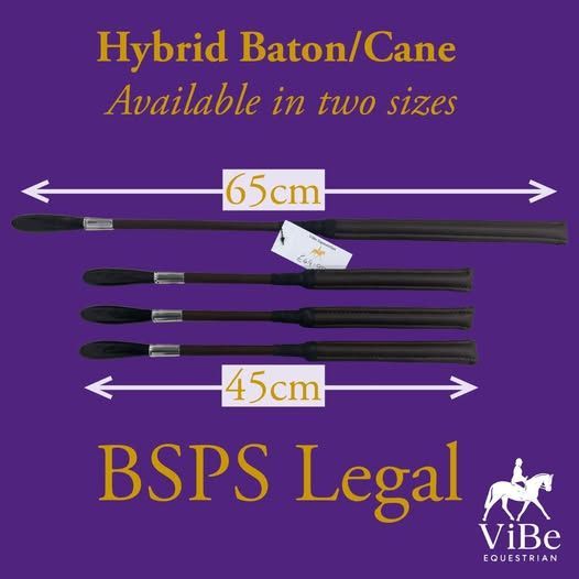 ViBe EQUESTRIAN BSPS COMPLIANT BUFFALO HORN SHOWING CANE- ADULT & CHILDS SIZES