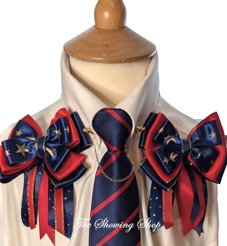 CHILDS PREMIUM SHOW BOWS AND TIE SET - RED & NAVY