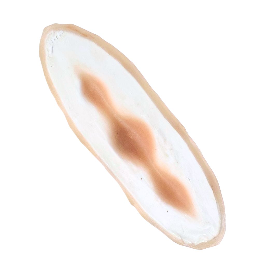 #87 Prótesis de Maquillaje