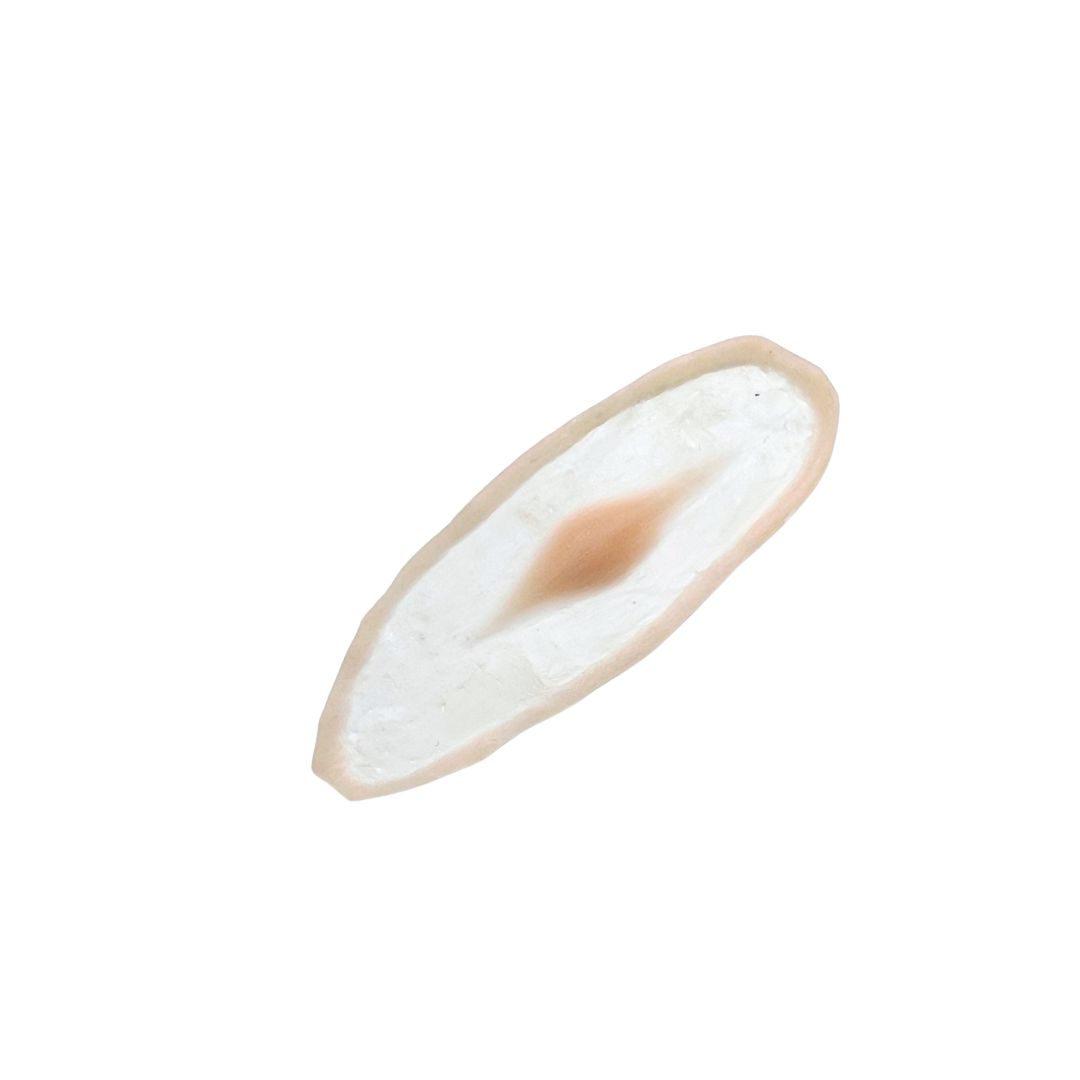 #89 Prótesis de Maquillaje