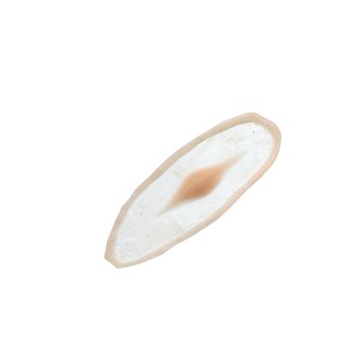 #89 Prótesis de Maquillaje