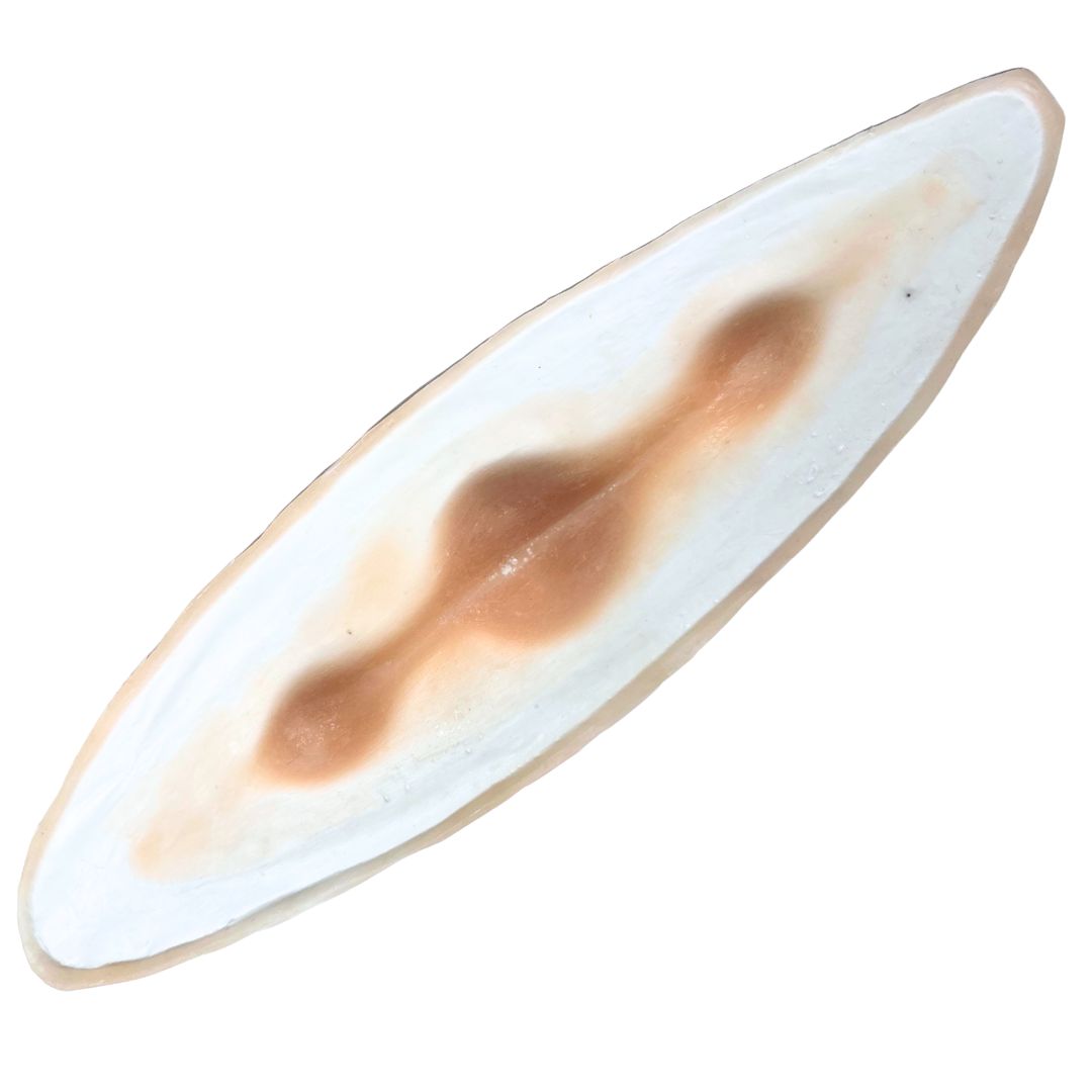 #86 Prótesis de Maquillaje