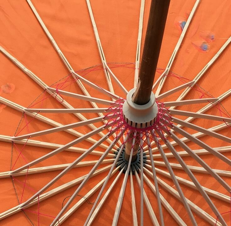 Japanese Parasol