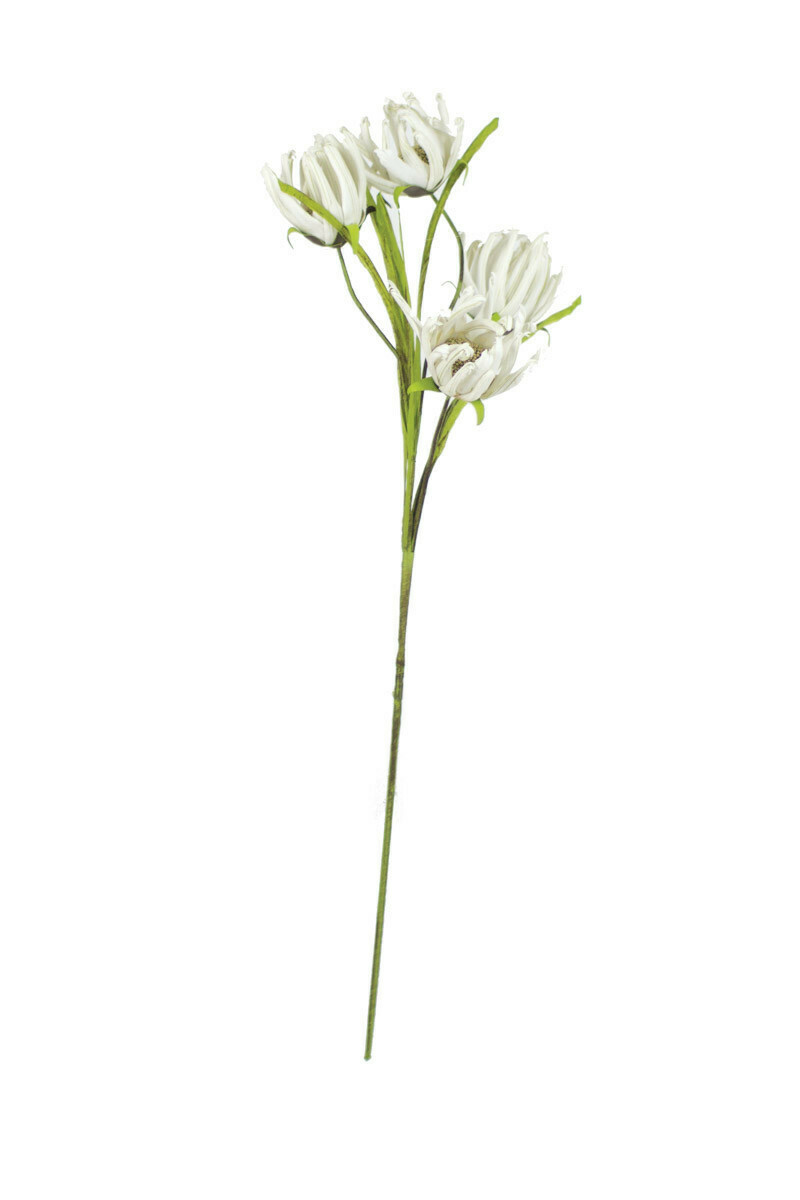 White Petal Flowers 39&quot; Stem