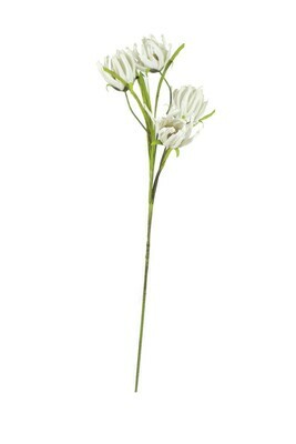 White Petal Flowers 39" Stem