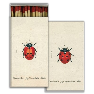 Matchbox Pack Little Lady Bug